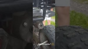 Обзор на квадроцикл Motoland wild basic 125