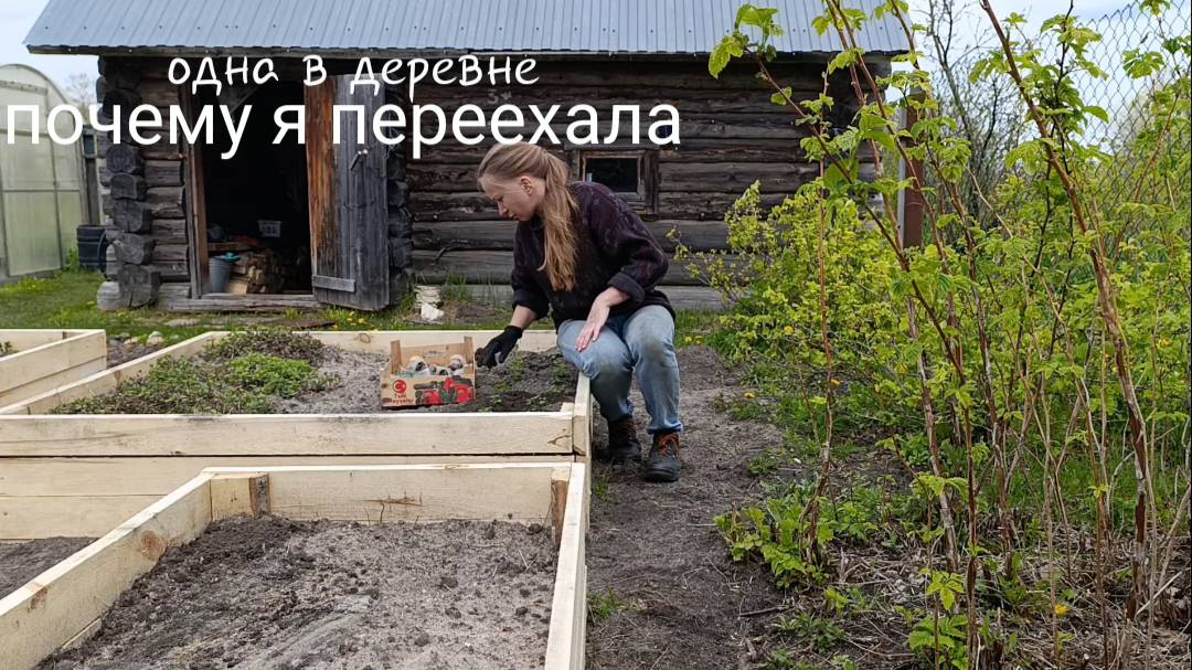 Переехала в деревню. Дела огородные.