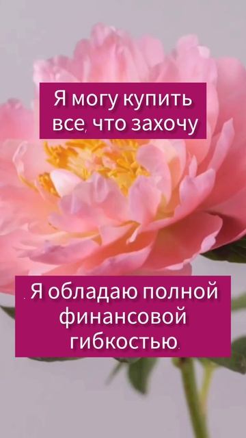 Аффирмации на деньги #4 . Повторяй 30 дней. #affirmations смотреть онлайн