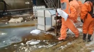Как ликвидируют последствия ЧП на заводе в Редкино