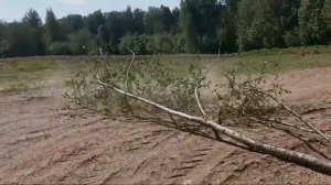 Обзор пила Nanwei 8" и 12"