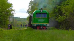 Товарняк на Боржавской УЖД! Поездка по маршруту Беров?