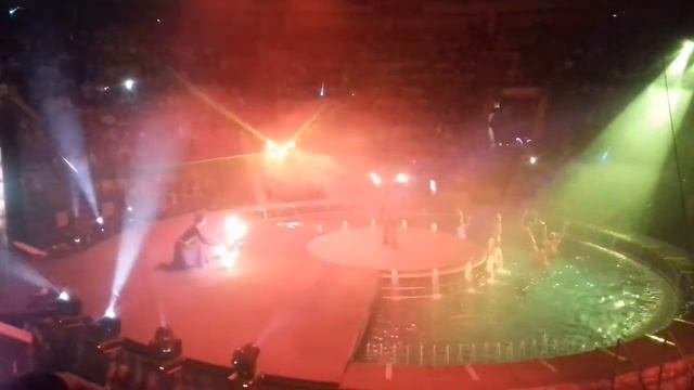 Цирк на воді Львів квітень 2018