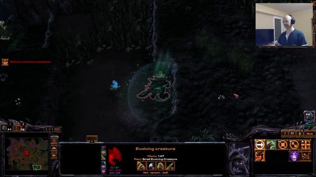 старкрафт два кастомки ... #stream# смотреть онлайн