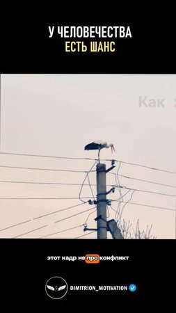 Восстановили гнездо аиста | Настоящие люди #саморазвитие