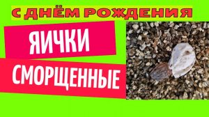 С днём рождения