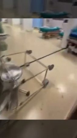 нелегальный торговец мигрантами нападает на медсестру и разгромил отделение неотложной помощи