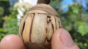 Шкатулка в весеннем лесу с цветущей рябиной