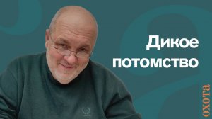 Дикое потомство. Валерий Кузенков о выводках утят.