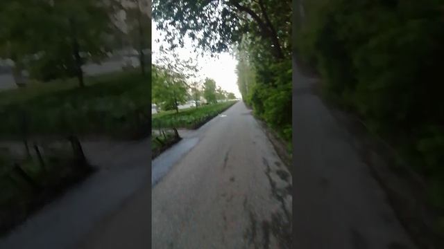 Товарищеский проспект  и   клумбы , авария на углу Товарищеского и пыль от аварии  25 мая 2025 года