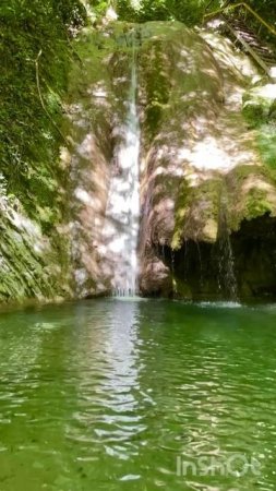 Куда сходить в Сочи? Лазаревский район. Мамедово ущелье. Водопад Счастья #водопад #лес #поход #short