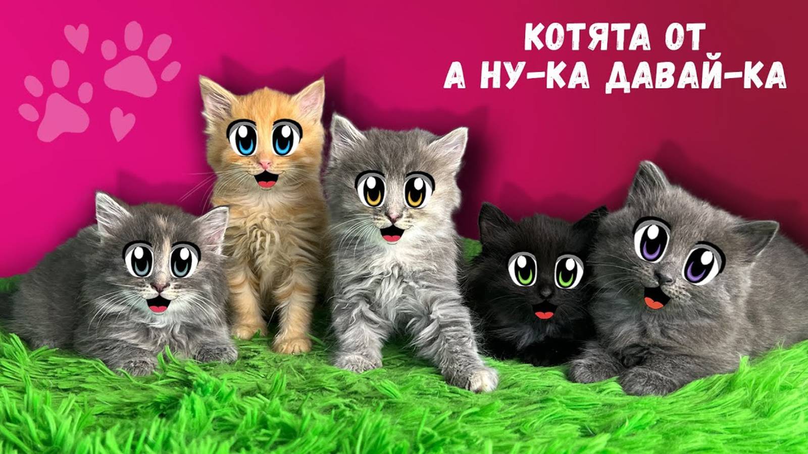 БЕЗДОМНЫЕ КОТЯТА ИЩУТ ДОМ! СПАСЕНИЕ БЕЗДОМНОЙ КОШКИ с УЛИЦЫ! РЕАКЦИЯ ГЕРОЯ А НУ КА ДАВАЙ КА на КОТЯТ