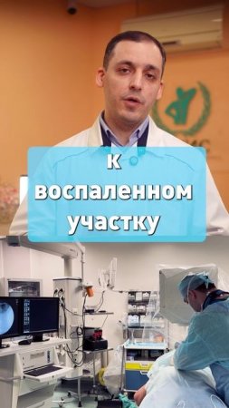 Грыжа диска. История бухгалтера