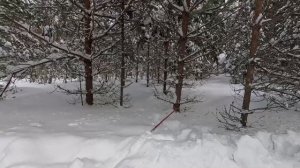 Испытание лебёдки на Стелс Гепард, мнительным не смот?