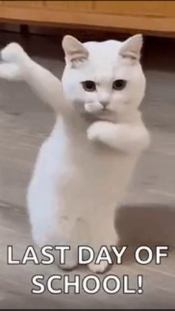 Последний день в школе!!