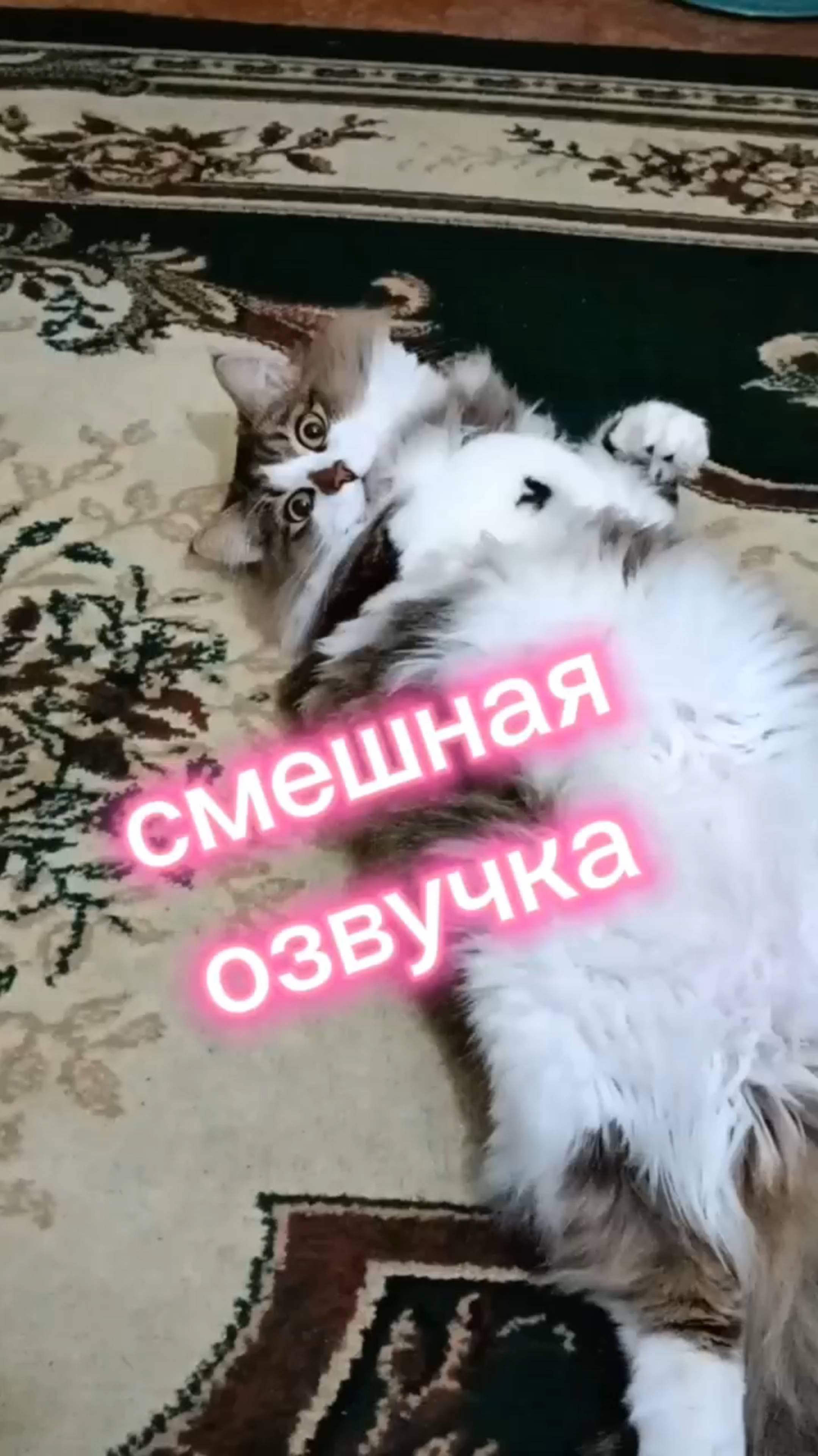Я не встану! Смешная озвучка.