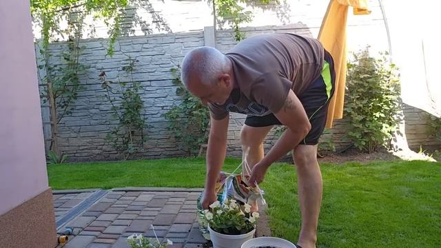 САМВЕЛ АДАМЯН, СЫТНИКИ, СВЕТЛАНКА УЕЗЖАЕТ В ИТАЛИЮ..