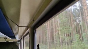 ЛО, автобус №402 от г. Сосновый Бор до ст. м. Парнас | Volgabs-