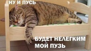 Ночной стрим Сируса x1 . Танчим и фармим, угораем.