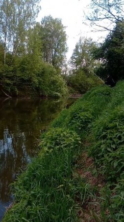 РЫБАЛКА МЫ СНОВА НА НОЛЬКЕ! РЕКА МАЛАЯ КОКШАГА! 17.05.2025 ГОДА! ЧАСТЬ-4 #fishing #рыбалка