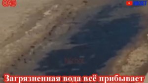 ‼️РАЗЛИВ НЕФТИ НА ПЛЯЖАХ ОАЭ