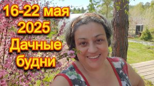 Дачные хроники.16-22 мая  2025 года