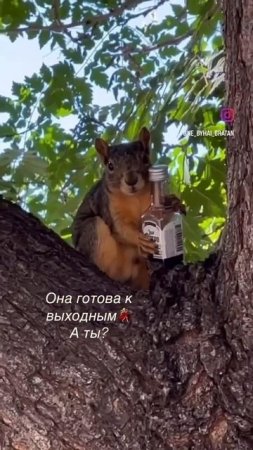 А ты готов?