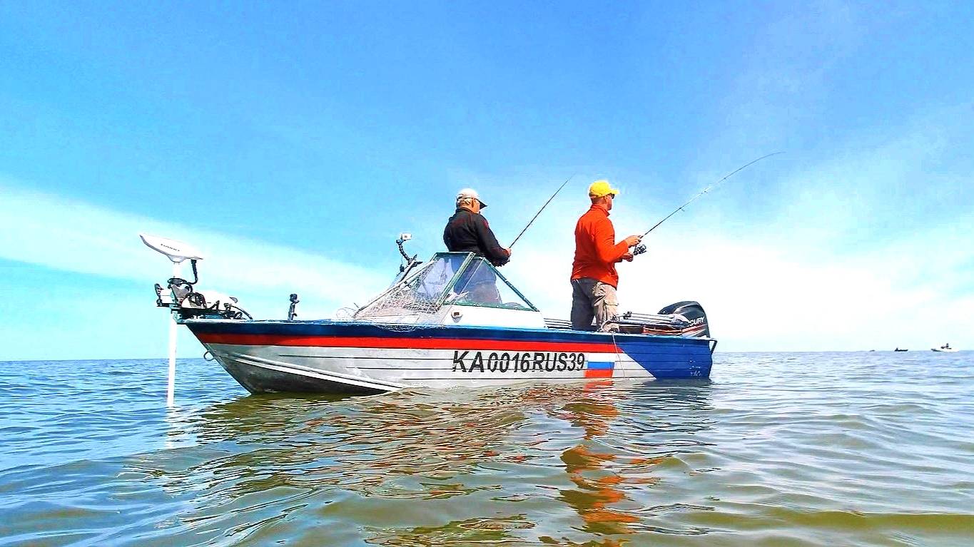 66 ШТУК С ОДНОГО МЕСТА! ЭТО РЕАЛЬНО??? смотреть онлайн