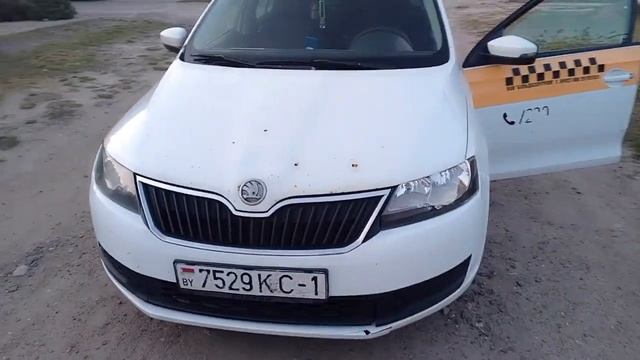 Полностью видео на Яндекс дзен из Африки в Беларусь с