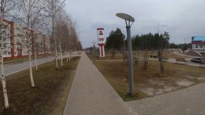 KUGOO G1 Pro наперегонки с собаками.