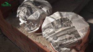 Хранение пеларгонии в погребе зимой: проверка способа - 7 дач
