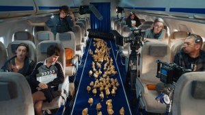 «Провальная» кампания: «Авиасейлс» и Zebra Hero не смогли ?