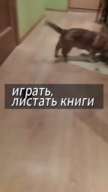 Яшины увлечения!