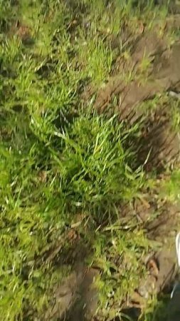 VID_20250524_173241.mp4