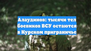 Алаудинов: тысячи тел боевиков ВСУ остаются в Курском приграничье