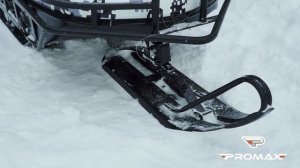 Снегоход PROMAX SNOWBEAR V2 650/800 обзор новинки!