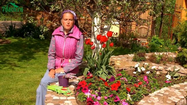Луковичные цветы в саду: что с чем сажать, как подкормить - 7 дач