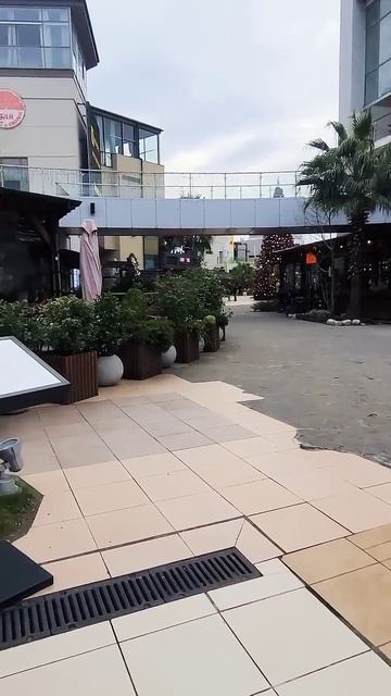 Адлер ТРЦ Мандарин декабрь 2024 смотреть онлайн