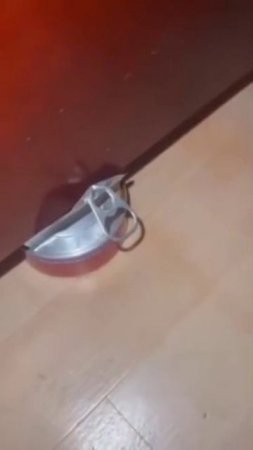 Мая еда кансервная