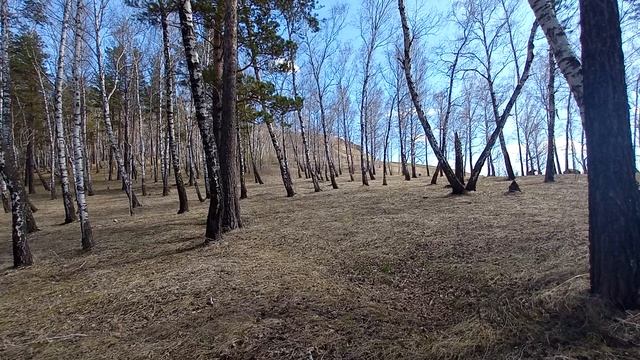 Что такое ВЫСШЕЕ Я и как с ним общаться. смотреть онлайн