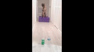 Сабако снайпер