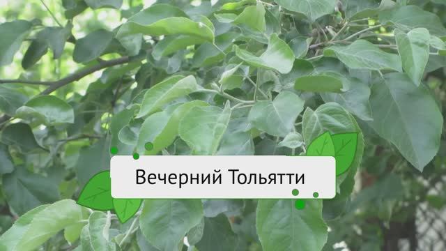 Вечерний Тольятти 24.05.2025