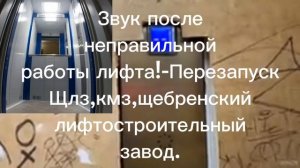 Звук после неправильной работы лифтов-Щебренский лифтостроительный завод,кмз,щлз.