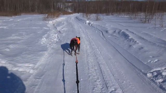 Я - каюр и Тэра смотреть онлайн