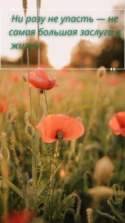 Главное подняться