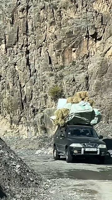 Мотивация работы в Таджикистане смотреть онлайн