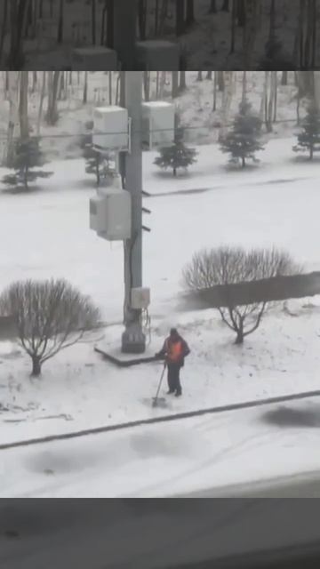 Покос невидимой травы в Санкт-Петербурге 14 марта смотреть онлайн