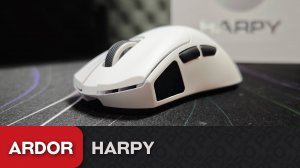 Обзор Ardor Harpy. Удобная мышь с экраном за 4к