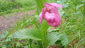 Прогулка к берегу  реки Катунь♥️♥️♥️