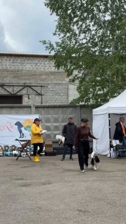 ВЫСТАВКА СОБАК В БАРНАУЛЕ